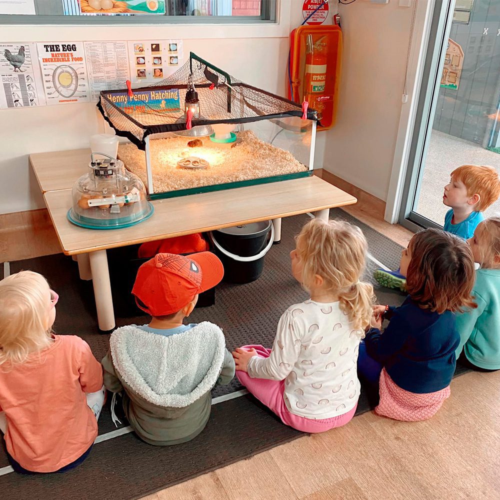 programs-tab https://www.maitlandkids.com.au/wp-content/uploads/2022/10/programs-tab.jpg